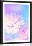 Dovido Poszter paszportuval krizantém virág - 30x45 white