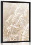 Dovido Poszter búzaszár - 40x60 silver
