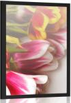 Dovido Poszter színes tulipán csokor - 30x45 black