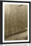 Dovido Poszter paszportuval út az erdőben szépia kivitelben - 30x45 black