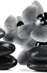 Dovido Öntapadó fotótapéta fekete fehér SPA kövek és orchidea - 147x270