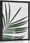 Dovido Poszter csodás pálmafa levél - 40x60 white
