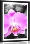 Dovido Poszter paszportuval csodás orchiddea és kövek - 20x30 no frame