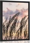Dovido Poszter fű szállak a naplementében - 40x60 black