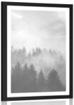 Dovido Poszter paszpartuval erdő feletti köd fekete-fehér kivitelben. - 30x45 no frame