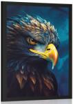 Dovido Poszter kék-arany sas - 20x30 black