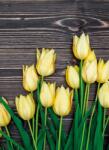Dovido Fotótapéta sárga tulipán fa háttéren - 196x270