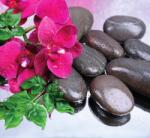 Dovido Fotótapéta virágzó orchidea és wellness kövek - 294x270