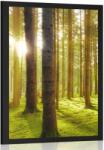Dovido Poszter napos reggel az erdőben - 30x45 silver
