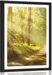 Dovido Poszter paszpartuval: napsugarak az erdőben. - 20x30 no frame