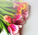 Dovido Fotótapéta színes tulipán csokor - 294x270