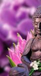 Dovido Fotótapéta békés Buddha - 147x270