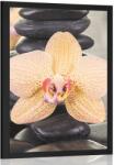 Dovido Poszter sárga orchidea és Zen kövek - 40x60 white