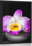 Dovido Poszter paszportuval lila orchidea Zen kövön - 30x45 white