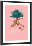 Dovido Poszter paszportuval Aloe Barbadensis Miller - 40x60 white