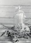 Dovido Fotótapéta fekete-fehér cseresznye gally és lámpások - 196x270