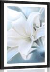 Dovido Poszter paszportuval fehér liliom virág absztrakt háttéren - 40x60 black