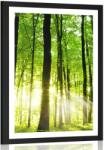 Dovido Poszter paszpartuval friss, zöld erdő. - 40x60 no frame