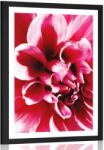 Dovido Poszter paszportuval rózsa virág - 40x60 white