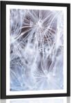 Dovido Poszter paszpartuval makro pitypang. - 30x45 silver