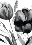 Dovido Tapéta csodás tulipán fekete fehérben - 196x270
