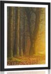 Dovido Poszter paszportuval út az erdőben - 40x60 silver - dovido - 15 410 Ft