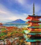 Dovido Öntapadó fotótapéta kilátással a Chureito pagodára és a Fuji-hegyre - 245x270
