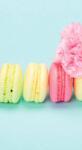 Dovido Öntapadó fotótapéta finom macaroons - 147x270