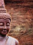 Dovido Fotótapéta Buddha szobor fa háttéren - 196x270