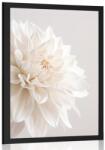 Dovido Poszter fehér szirmok - 30x45 black