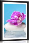 Dovido Poszter paszportuval orchidea Zen kövek - 60x90 no frame