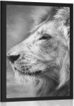 Dovido Poszter afrikai oroszlán fekete fehérben - 40x60 black