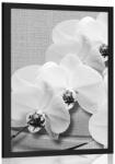 Dovido Poszter orchidea vásznon fekete fehérben - 30x45 black