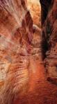 Dovido Fotótapéta ösvény a Grand Canyonon keresztül - 147x270