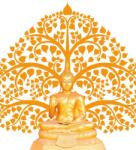 Dovido Öntapadó tapéta Buddha és életfa - 245x270