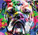 Dovido Tapéta pop-art bulldog - 294x270