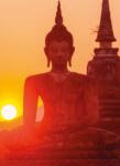 Dovido Öntapadó fotótapéta Buddha szobor - 196x270