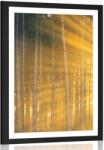 Dovido Poszter paszportuval napsugarak az erdőben - 40x60 black - dovido - 19 265 Ft
