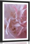 Dovido Poszter paszpartuval szegfűszirmok. - 60x90 black