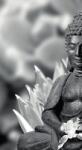 Dovido Fotótapéta békés Buddha fekete fehérben - 147x270