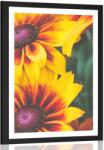 Dovido Poszter paszportuval színes virág - 30x45 black