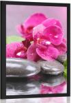 Dovido Poszter orchidea - 60x90 no frame
