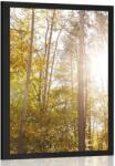 Dovido Poszter erdő őszi színekben - 60x90 black