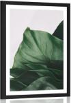 Dovido Poszter paszpartuval: elbűvölő monstera levél. - 60x90 no frame