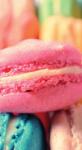 Dovido Fotótapéta színes macaron sütemény - 147x270
