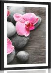 Dovido Poszter paszportuval elegáns kompozíció orchidea virágokkal - 40x60 no frame
