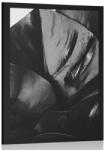 Dovido Poszter monsztera levél fekete fehérben - 40x60 no frame