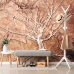 Dovido Tapéta fa korona - 98x66