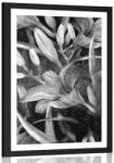 Dovido Poszter paszportuval virágzó liliom fekete fehérben - 30x45 black