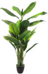 Atmosphera Créateur d'intérieur Planta artificiala bananier Atmosphera cu ghiveci, verde, 168 cm (JJ-155728)
